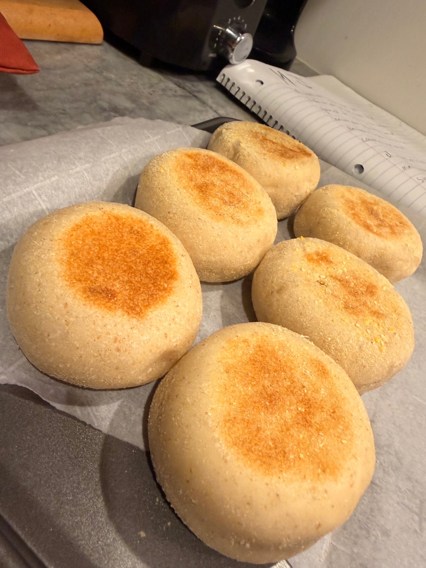 Sourdough English Muffins (6)